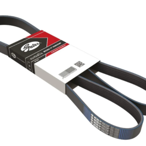 K080570 Banda Marca Gates Poly V