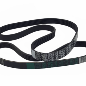 1843839 Juego De Correas De Mando